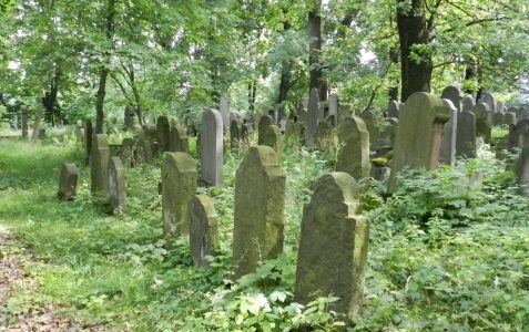 „Weekend z zabytkami powiatu bocheńskiego” – spacer po cmentarzu żydowskim w Bochni